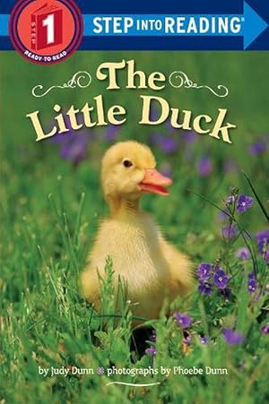 Seller image for The Little Duck (Paperback) for sale by Grand Eagle Retail