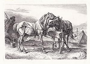 "Schiffzug - Pferde im Bivouac" - Horses Pferd Pferde