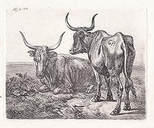 Bild des Verkufers fr ("Die beiden polnischen Ochsen am Wasser") - Ochse ox zum Verkauf von Antiquariat Steffen Vlkel GmbH