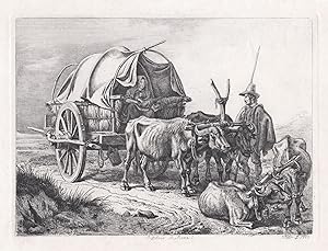 "Buffalaro di Roma" - Büffel Buffalo / Kutsche carriage