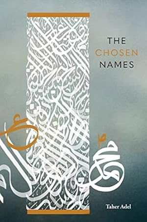 Seller image for The Chosen Names for sale by WeBuyBooks