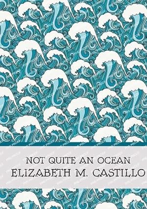 Seller image for Not Quite an Ocean (Paperback) for sale by Grand Eagle Retail