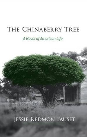 Image du vendeur pour The Chinaberry Tree: A Novel of American Life mis en vente par WeBuyBooks