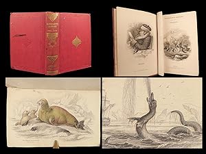 Bild des Verkufers fr The Naturalist s Library. Vol. III. Mammalia. Amphibious Carnivora, including the Walrus and Seals, also of the Herbivorous Cetacea, &c. zum Verkauf von Schilb Antiquarian