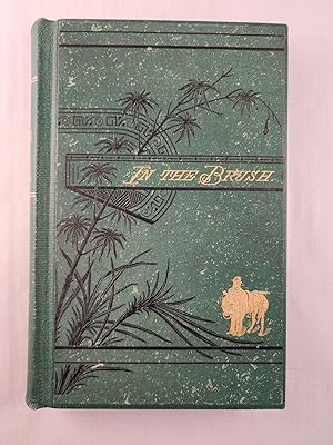 In The Brush; or, Old-Time Social, Political, and Religious Life in the Southwest