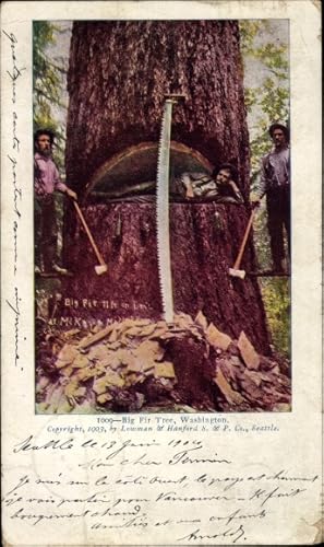Ansichtskarte / Postkarte Washington USA, Holzfäller, riesiger Baumstamm