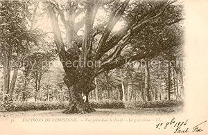 Imagen del vendedor de Postkarte Carte Postale 73889796 Baeume Trees Arbres Arboles Environs de compiegne le gros chne a la venta por Versandhandel Boeger