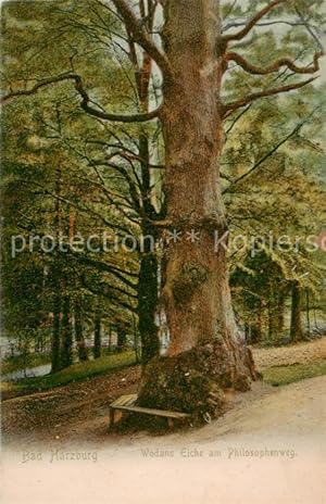 Imagen del vendedor de Postkarte Carte Postale 73895574 Baeume Trees Arbres Arboles Bad Herzburg Wodans Eiche am Philosophenweg a la venta por Versandhandel Boeger