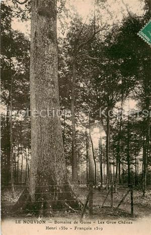 Imagen del vendedor de Postkarte Carte Postale 73895576 Baeume Trees Arbres Arboles Nouvion Domaine de Guise Les Gros Chenes a la venta por Versandhandel Boeger