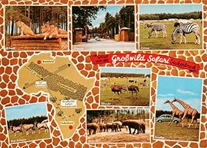 Postkarte Carte Postale 73915313 Stukenbrock Schloss Holte-Stukenbrock Senne Grosswild Safari Tei...