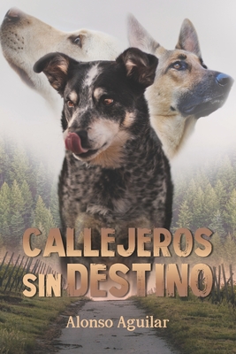 Seller image for Callejeros sin destino (Paperback or Softback) for sale by BargainBookStores