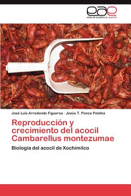 Imagen del vendedor de Reproduccion y Crecimiento del Acocil Cambarellus Montezumae (Paperback or Softback) a la venta por BargainBookStores