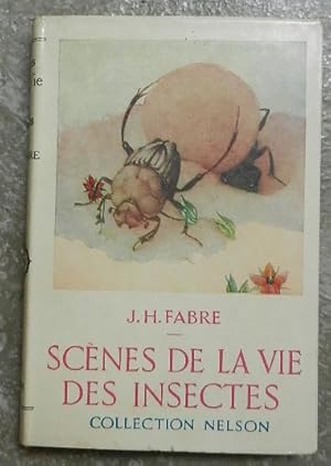 Scènes de la vie des insectes.