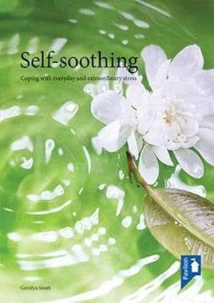 Bild des Verkufers fr Self Soothing: Coping with Everyday & Extraordinary Stress zum Verkauf von WeBuyBooks