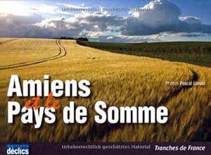 Seller image for Amiens et le Pays de Somme for sale by Dmons et Merveilles