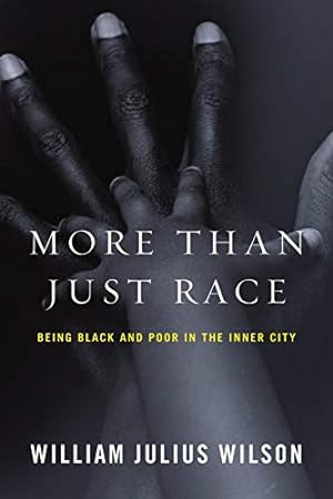 Imagen del vendedor de More than Just Race: Being Black and Poor in the Inner City (Issues of Our Time) a la venta por Redux Books