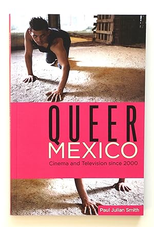 Queer Mexico: Cinema and Television Since 2000 (Queer Screens)