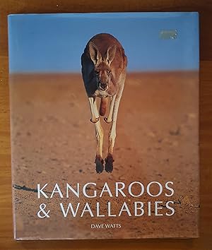 Seller image for KANGAROOS & WALLABIES OF AUSTRALIA for sale by Uncle Peter's Books
