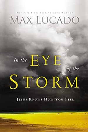 Seller image for In the Eye of the Storm for sale by -OnTimeBooks-