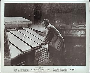 Image du vendeur pour Red Light 8 x 10 Still 1949 George Raft mis en vente par AcornBooksNH