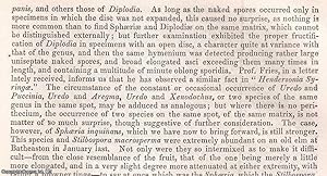 Imagen del vendedor de Some Facts tending to show the probability of the Conversion of Asci into Spores in certain Fungi. An uncommon original article from the British Association for the Advancement of Science Report, 1851. a la venta por Cosmo Books