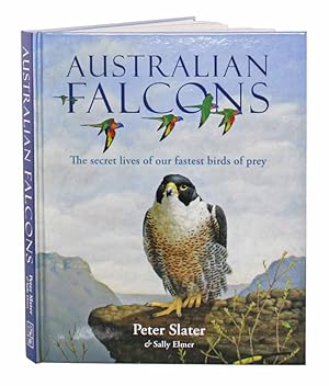 Bild des Verkufers fr Australian falcons: the secret lives of our fastest birds of prey. zum Verkauf von Andrew Isles Natural History Books