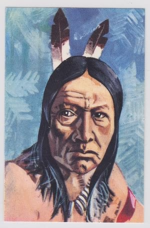 Sammelbild Panorama-Bilderdienst Bamberg Geschichte der Indianer Nr. 51 Cheyenne