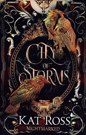City of Storms Book 1 of 4 in the Nighthawk Series