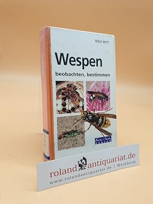 Bild des Verkufers fr Wespen beobachten, bestimmen zum Verkauf von Roland Antiquariat UG haftungsbeschrnkt
