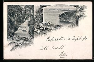 Postcard Point Venus, Panorama, Riviere Hamula