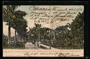 Postcard Ancon, Main Driveway to Hospital