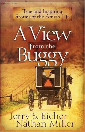 Seller image for A View from the Buggy for sale by WeBuyBooks