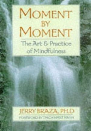 Seller image for Moment by Moment: Art and Practice of Mindfulness for sale by WeBuyBooks