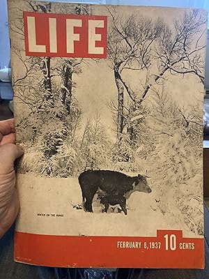 life magazine february 8 1937