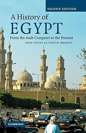 Bild des Verkufers fr A History of Egypt: From the Arab Conquest to the Present zum Verkauf von WeBuyBooks