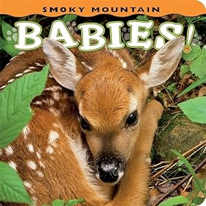 Bild des Verkufers fr Smoky Mountain Babies! (Babies! (Farcountry Press)) zum Verkauf von Reliant Bookstore