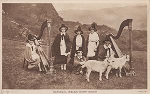 National Welsh Harp Choir Old Wales Postcard