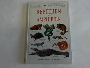 Seller image for Reptilien und Amphibien for sale by Celler Versandantiquariat