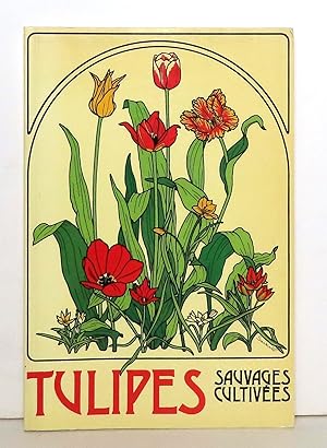 Tulipes sauvages et cultivées.