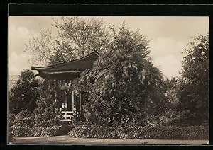 Bild des Verkufers fr Ansichtskarte Berlin-Dahlem, Japanische Laube im Botanischen Garten zum Verkauf von Bartko-Reher