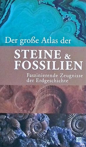 Die grosse Atlas der Steine & Fossilien Faszinierende Zeugnisse der Erdgeschichte