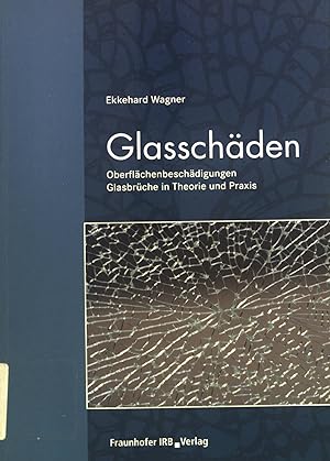 Seller image for Glasschden : Oberflchenbeschdigungen, Glasbrche in Theorie und Praxis. for sale by books4less (Versandantiquariat Petra Gros GmbH & Co. KG)