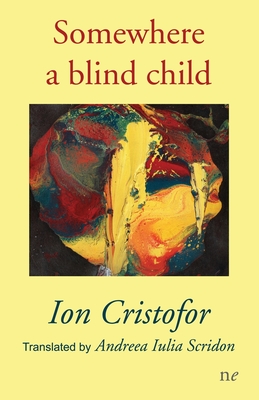 Image du vendeur pour Somewhere a blind child (Paperback or Softback) mis en vente par BargainBookStores