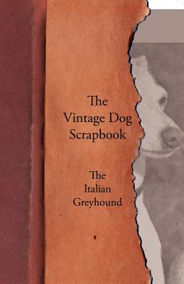 Seller image for The Vintage Dog Scrapbook - The Italian Greyhound (Paperback or Softback) for sale by BargainBookStores