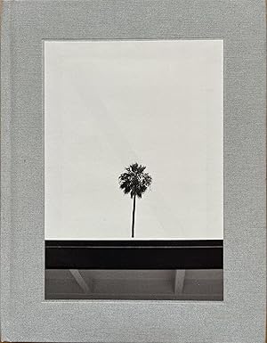 Palm: A Visual Study of Palm Springs, California