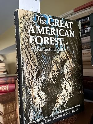 Seller image for The Great American Forest for sale by GoldBookShelf