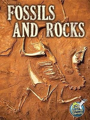 Imagen del vendedor de Fossils and Rocks (Paperback) a la venta por CitiRetail