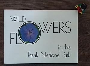 Wild Flowers in the Peak National Park