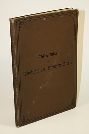 Bilder-Atlas zur Zoologie der niederen Tiere. Mit beschreibendem Text.