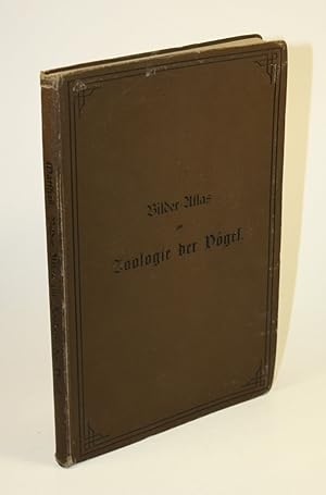 Bilder-Atlas zur Zoologie der Vögel. Mit beschreibendem Text.